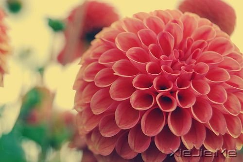 晚安心语：哭泣时没有肩膀依靠，那就仰起头 (4)
