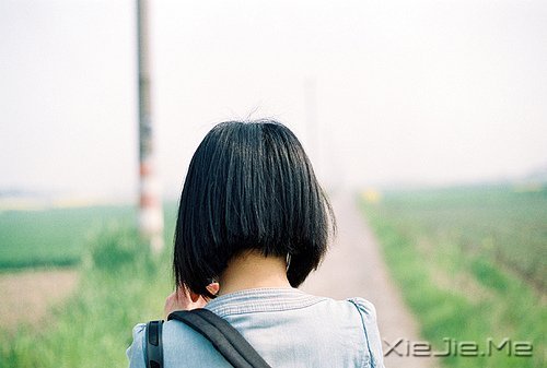 早安心语：如果我不这么在乎，生活会简单得多 (1)