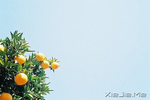 早安心语：如果我不这么在乎，生活会简单得多 (10)