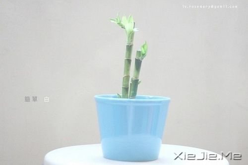 晚安心语：趁年轻，能走多远走多远 (9)