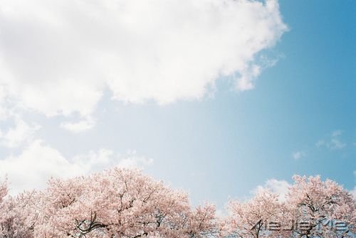 早安心语：生活只有经得起平静，方才显淡泊宁静的真实 (6)