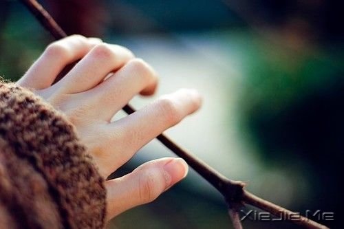 晚安心语：牵手走下去，直到地老天荒 (1)